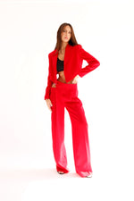 Load image into Gallery viewer, SCARLET CROPPED JACKET